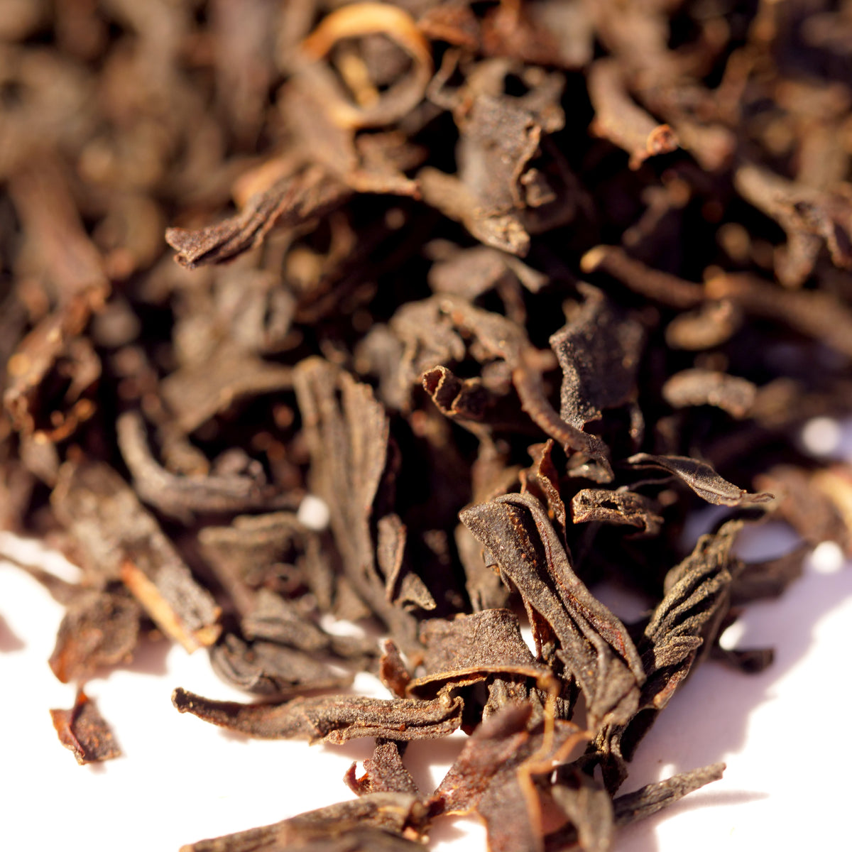 CLASSIC SINGLES | Australian Handcrafted Organic Teas